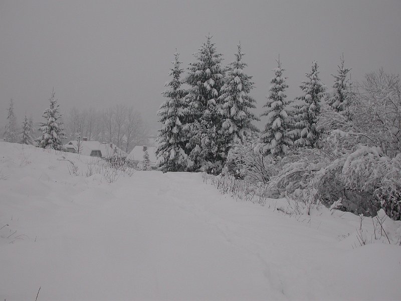 Winter in Bohinj, Slovenia - 04.JPG